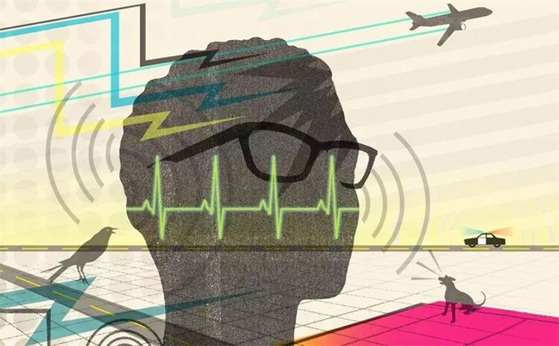 悲劇，聲學處理不好，噪音引發血案