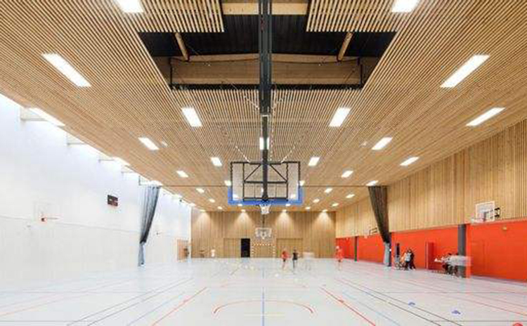 廣西學校體育館吸音板工程 廣西學校體育館吸音板工程